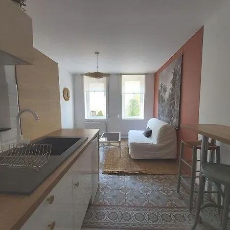 Apartamento T2 Centre De Quartier Vauban/cormontaigne Lila